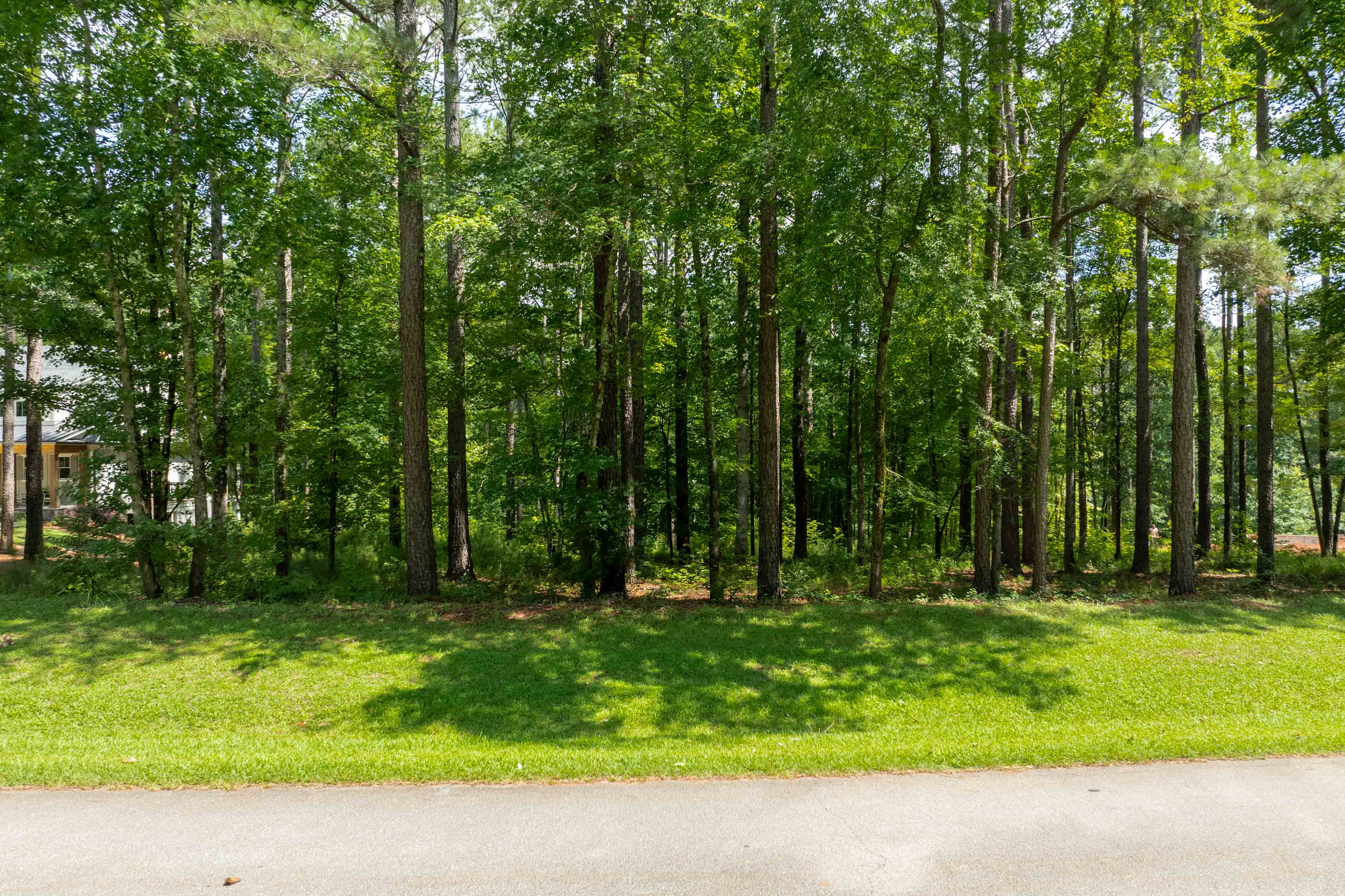1171 Sunset Overlook image 3